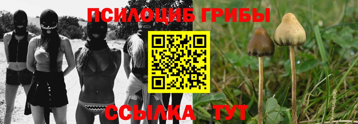 Псилоцибиновые грибы GOLDEN TEACHER Губкинский